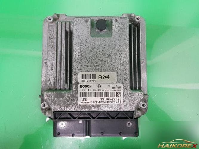 Hyundai Santa Fe 2010 — ECU 39100-2F405