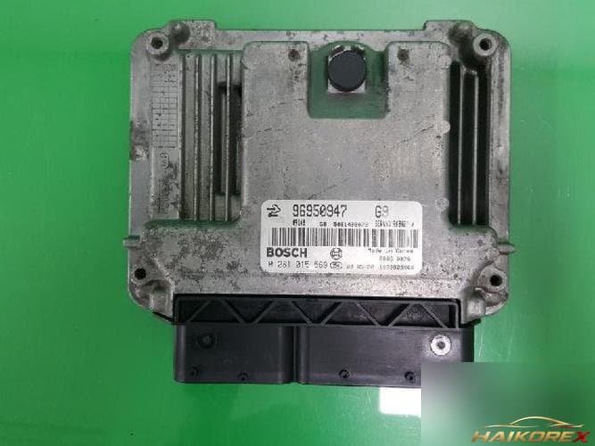 Daewoo Winstorm 2009 — ЭБУ 96950947 10