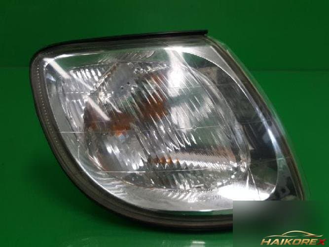 Hyundai Trajet 2005 — сигнальная лампа правая 923023A500