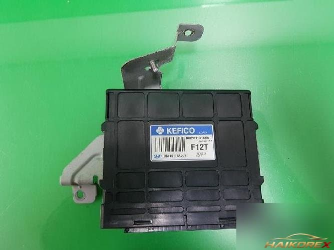 Hyundai Santa Fe 2009 — блок управления трансмиссией TCU 954403A562