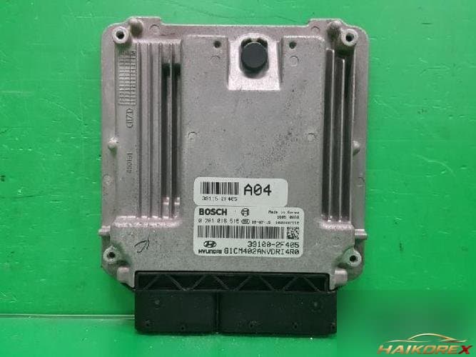 Hyundai Santa Fe 2010 — блок управления двигателем ECU 391002F405