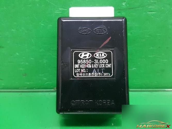 Hyundai Grandeur 2006 — модуль управления блокировкой замка ETACS/BCM 95850 3L000 2