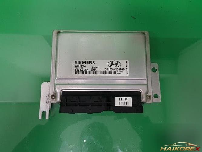 Hyundai Sonata 2003 — блок управления двигателем ECU 3910523800D
