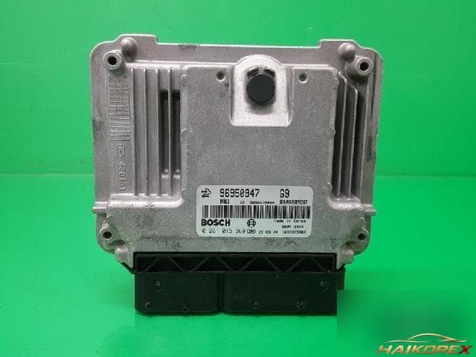 Daewoo Winstorm 2009 — ЭБУ 96950947 10