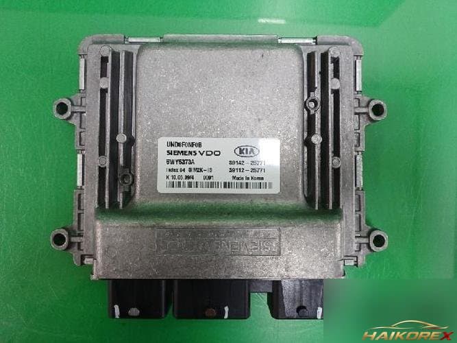 Kia Carens 2009 — блок управления двигателем ECU 3911225771
