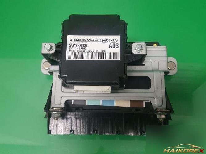 Kia Opirus 2008 — модуль управления ETACS/BCM 954103F231