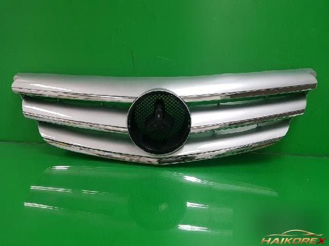 Mercedes-Benz B-Class 2007 — решетка радиатора 1