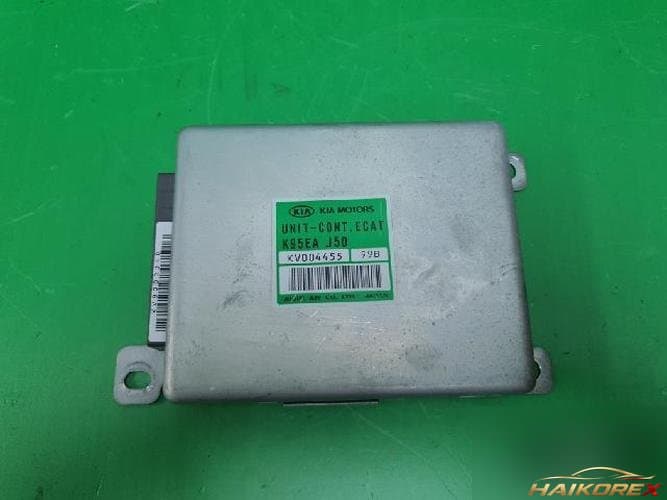 Kia Enterprise 1999 ETACS/BCM K95EA J5D