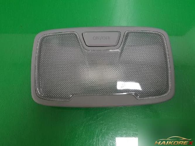 Hyundai Sonata 2010 — внутреннее освещение 928503S000TX 2