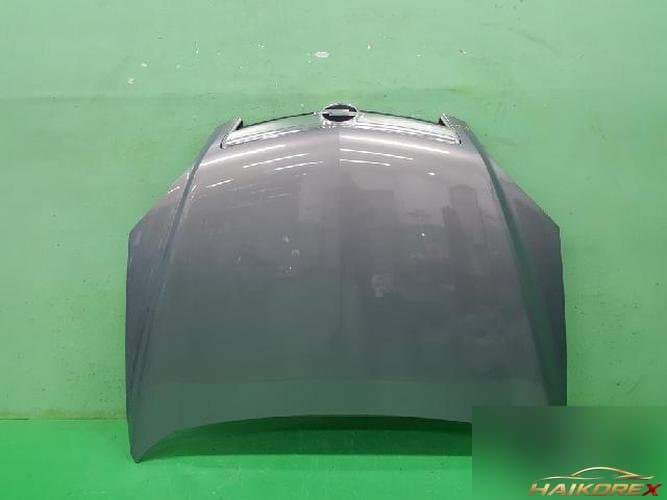 Daewoo Winstorm 2010 — капот
