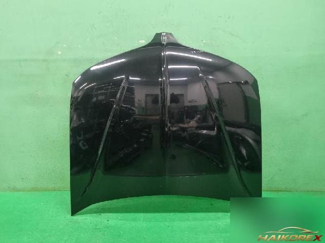 Ford MKS 2013 — капот