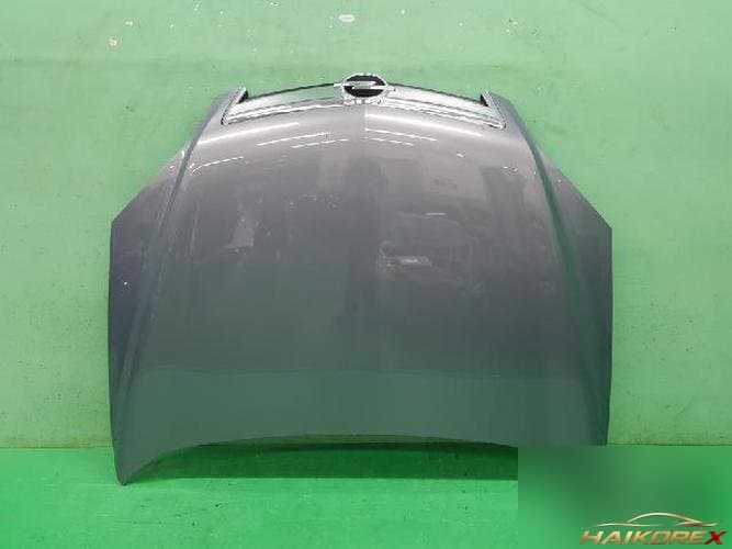 Daewoo Winstorm 2010 — капот