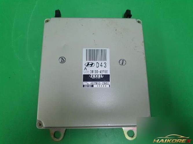 Hyundai Starex 2004 — блок управления двигателем ECU 3910042780