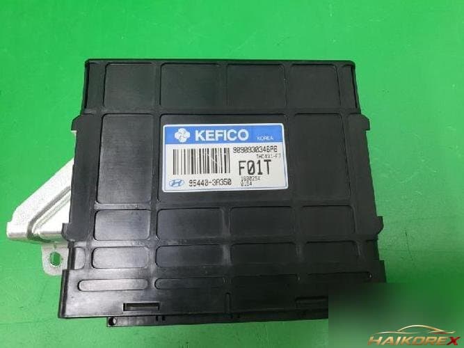 Hyundai Santa Fe 2007 — блок управления коробкой (TCU) 954403A350