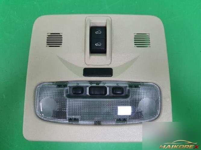 Land Rover Freelander 2010 — салонный светильник 3