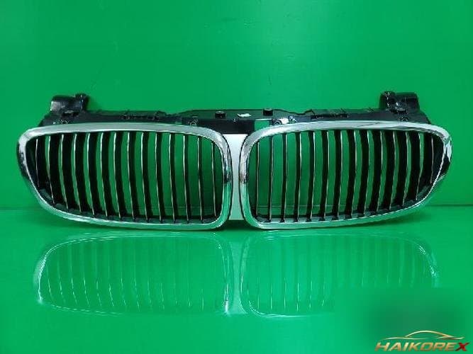 BMW 7 Series 2006 — решётка радиатора 23