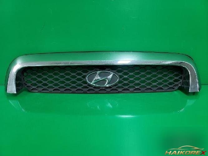 Hyundai Santa Fe 2004 — решетка радиатора
