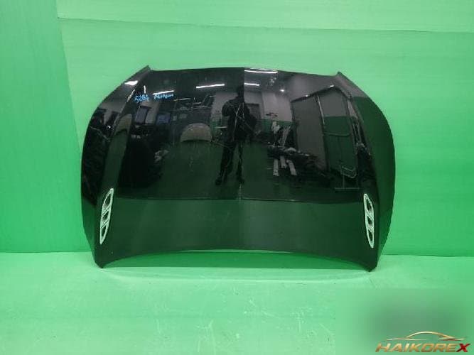 Chevrolet Alpeon 2011 — капот