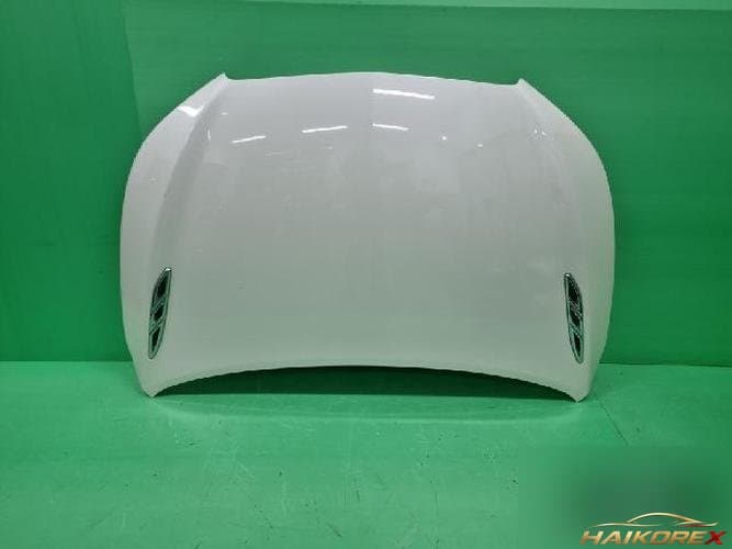 Chevrolet Alpeon 2011 — капот
