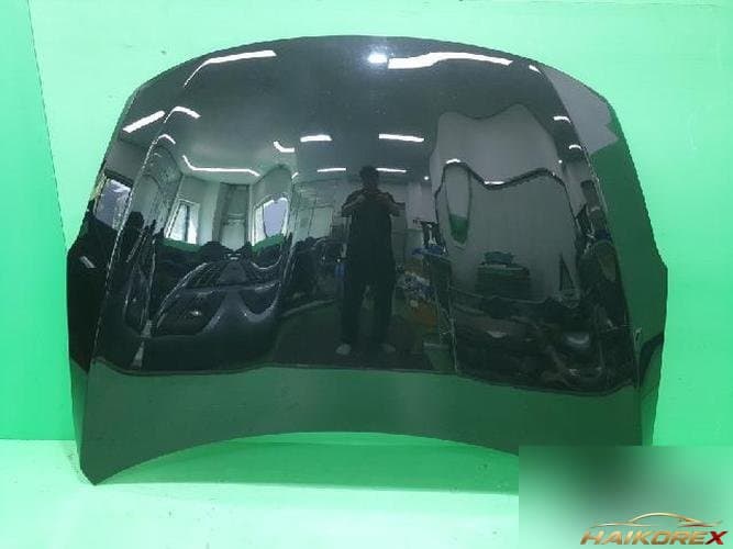 Nissan Altima 2010 — капот 8