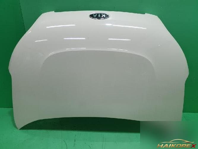 Kia Soul 2009 — капот