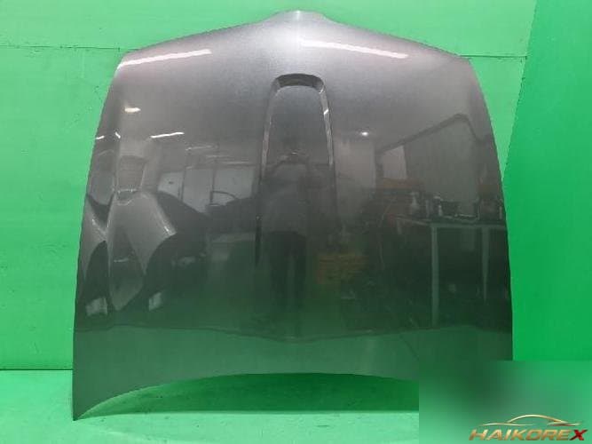 Ford MKS 2011 — капот