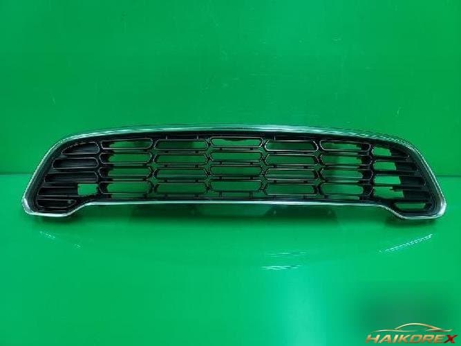 Mini Countryman 2014 — решётка радиатора
