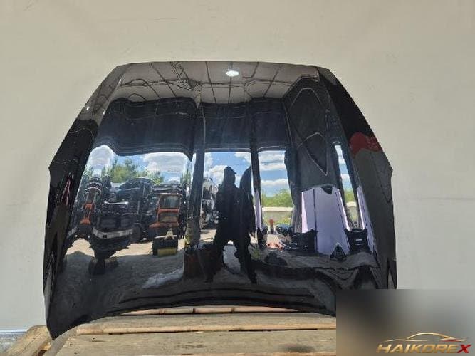 Kia K9 2013 — капот