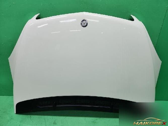 Mercedes-Benz B-Class 2011 — капот