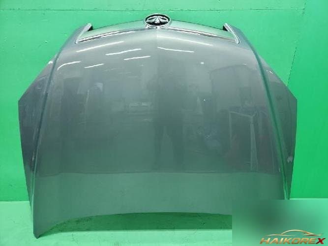 Daewoo Winstorm 2010 — капот