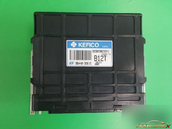 Hyundai Santa Fe 2003 — блок управления коробкой передач TCU 9544039615
