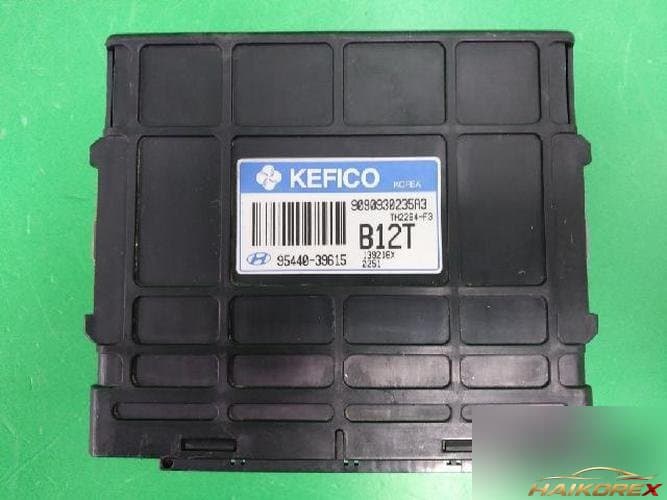 Hyundai Santa Fe 2004 — блок управления трансмиссией (TCU) 9544039615