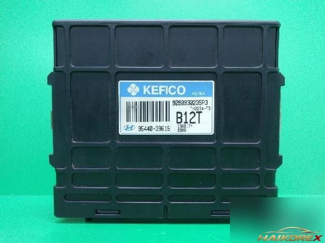 Hyundai Santa Fe 2003 — блок управления коробкой TCU 9544039615