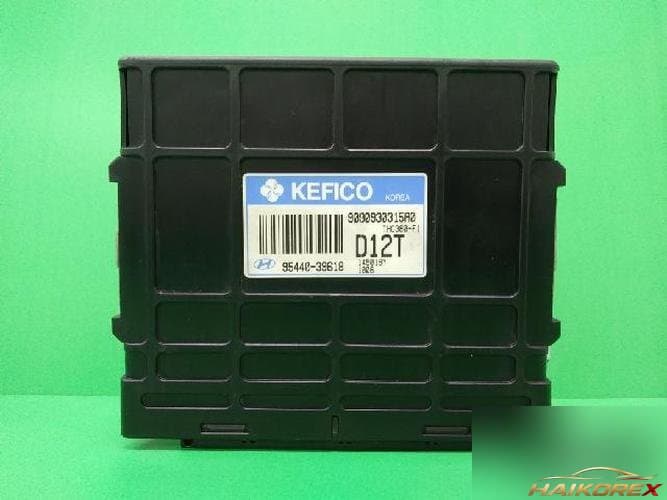 Hyundai Santa Fe 2005 — TCU 9544039618 8