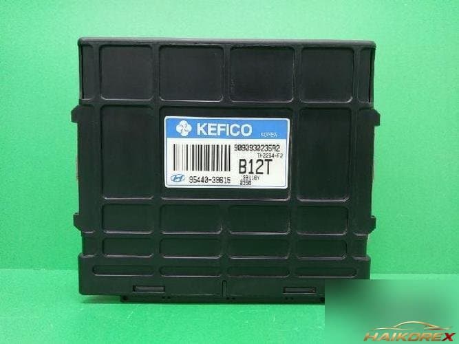 Hyundai Santa Fe 2003 — блок управления коробкой (TCU) 9544039615