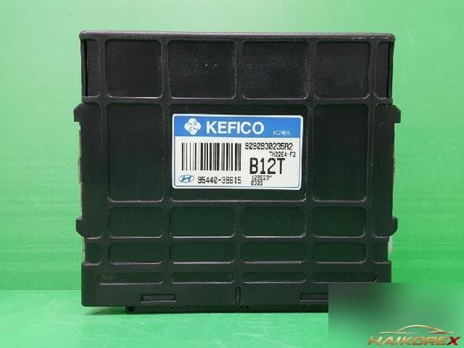 Hyundai Santa Fe 2003 — блок управления коробкой (TCU) 95440-39615