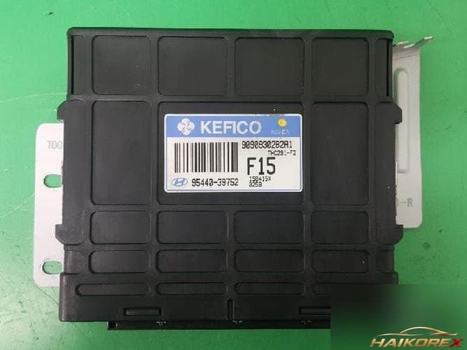 Hyundai Trajet 2005 — блок TCU 95440 39752 3