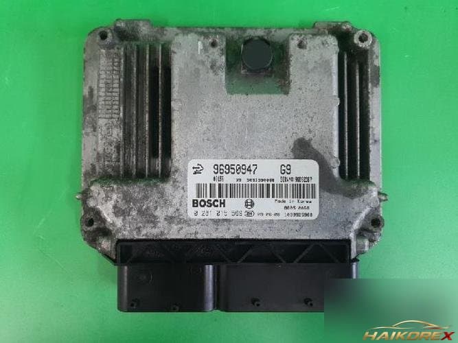 Daewoo Winstorm 2009 — ЭБУ 96950947 10