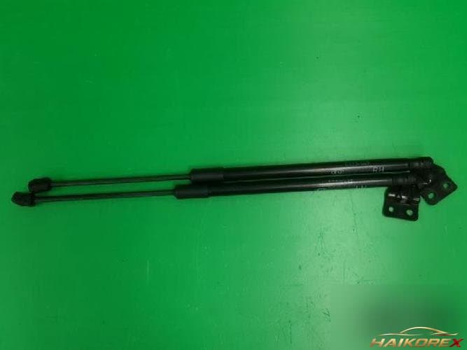 Kia Opirus 2009 — капот 81171 3F500