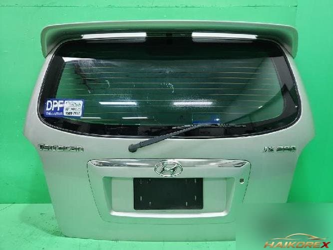 Hyundai Terracan 2002 — дверь багажника