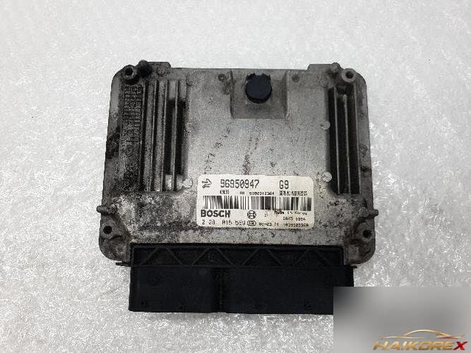 Daewoo Winstorm 2008 — ЭБУ двигателя