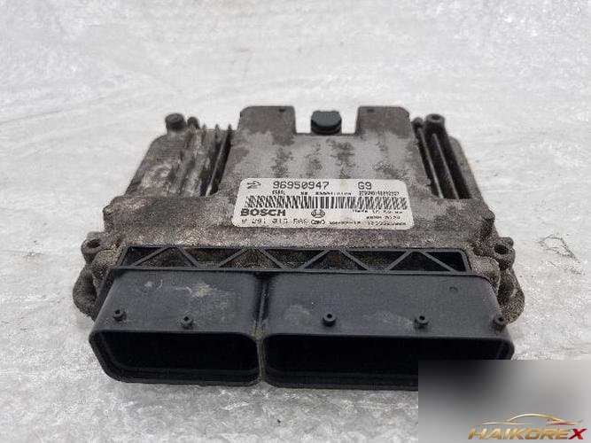 Daewoo Winstorm 2009 — блок управления двигателем ECU 96950947