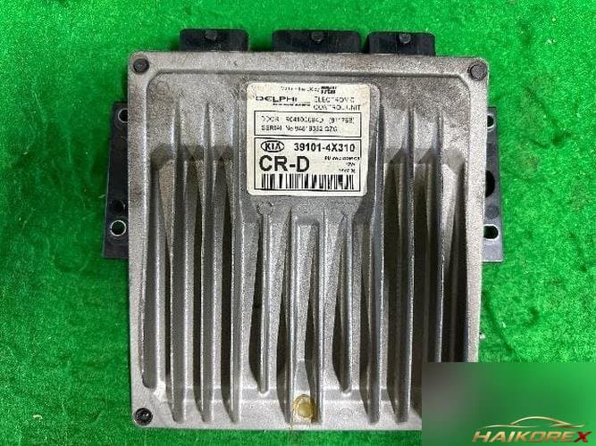 Kia Bongo 2007 — блок управления двигателем (ECU) 391014X310