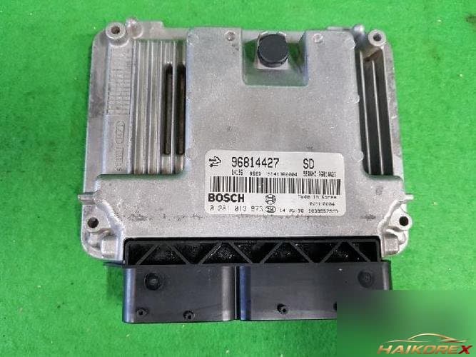 Daewoo Winstorm 2008 — блок управления двигателем (ECU) 96814427