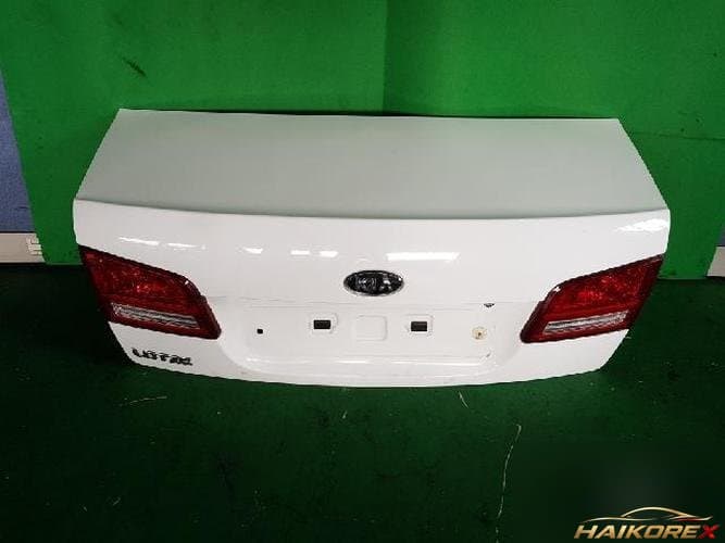 Kia Roche 2008 — крышка багажника 692002G003
