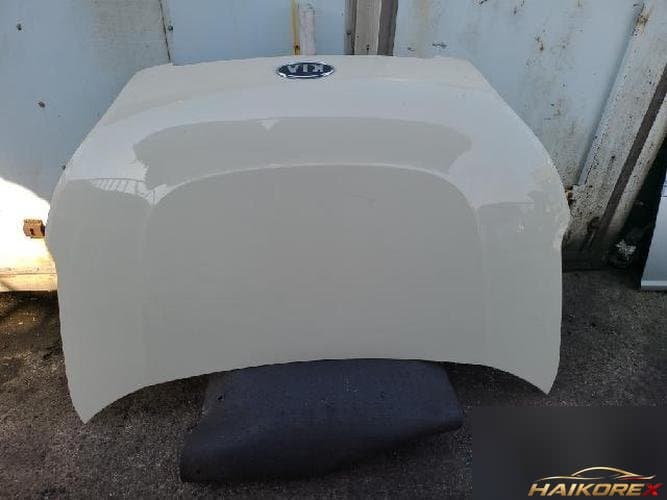 Kia Soul 2009 — капот (3)