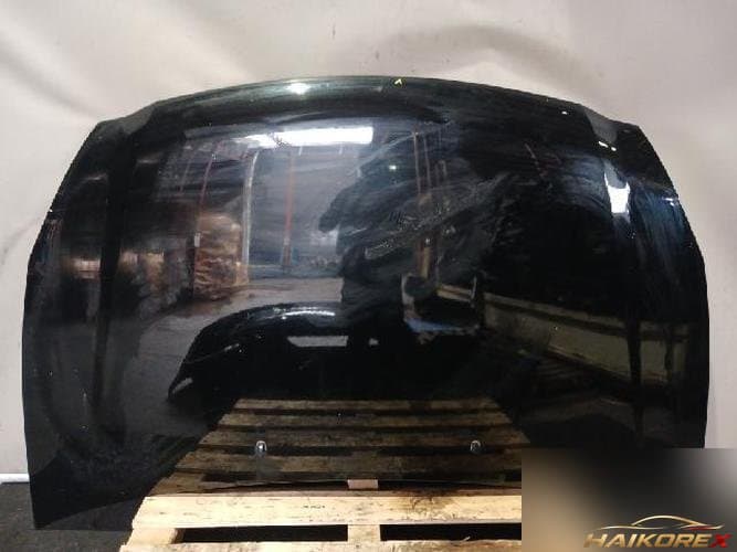 Kia Carnival 2013 — капот