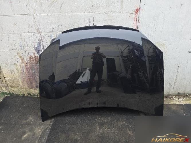 Volkswagen Golf 2008 — капот