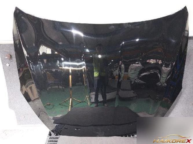 Kia K9 2013 — капот