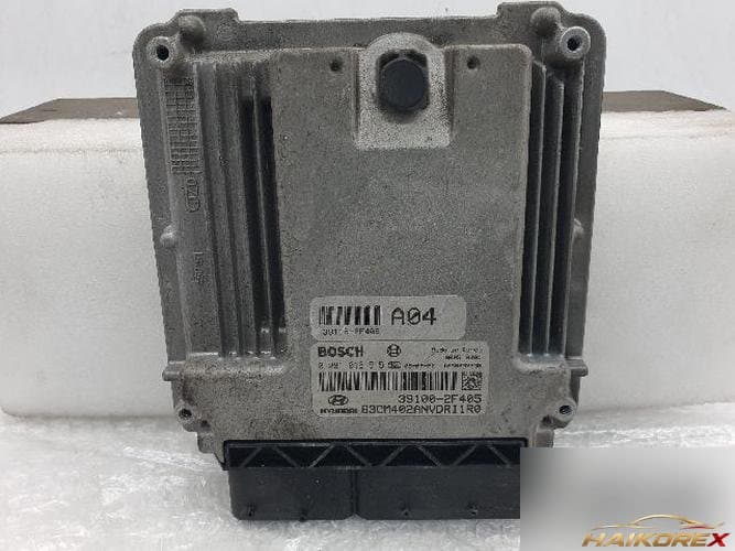Hyundai Santa Fe 2010 — ЭБУ двигателя 39100-2F405